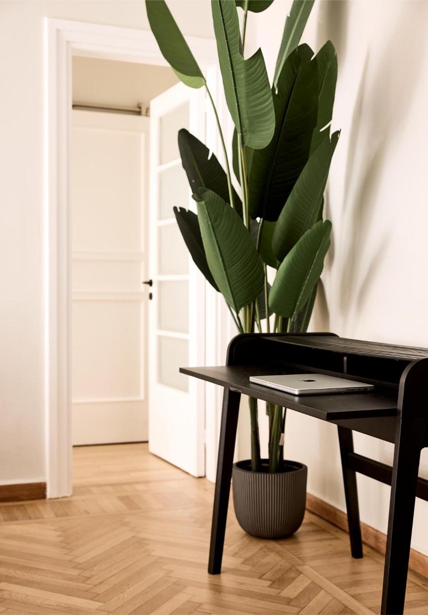Lime Residences, Syntagma By Aura Homes Athen Rom bilde